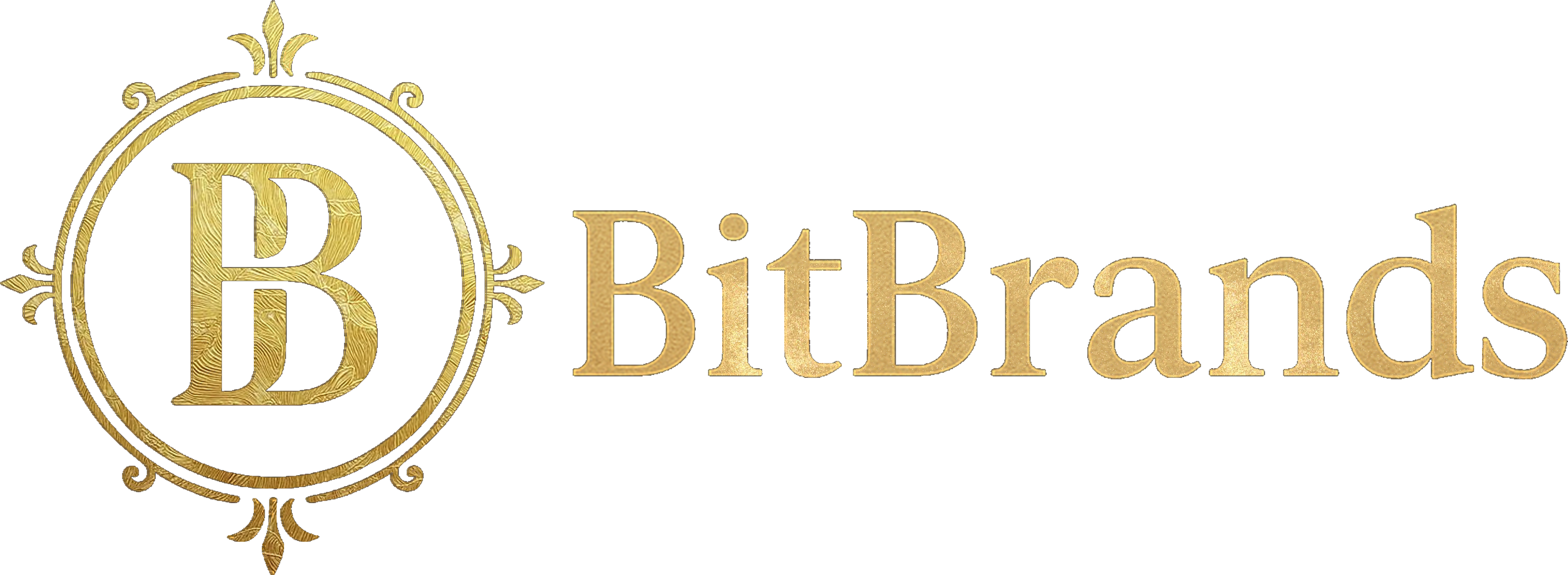 BitBrands Logo